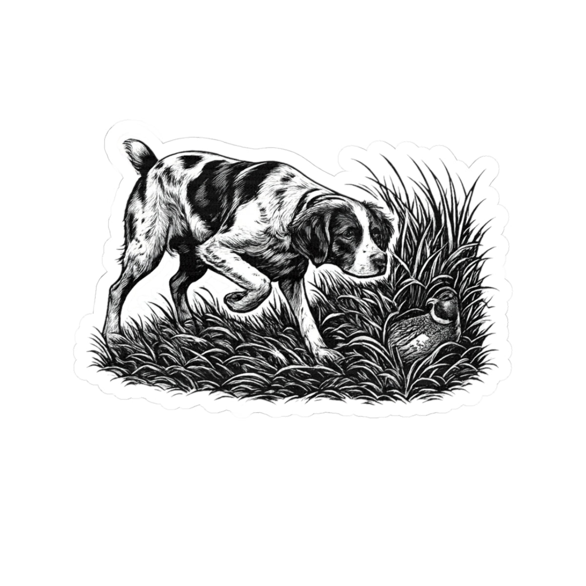 American Brittany Pointing- Sticker