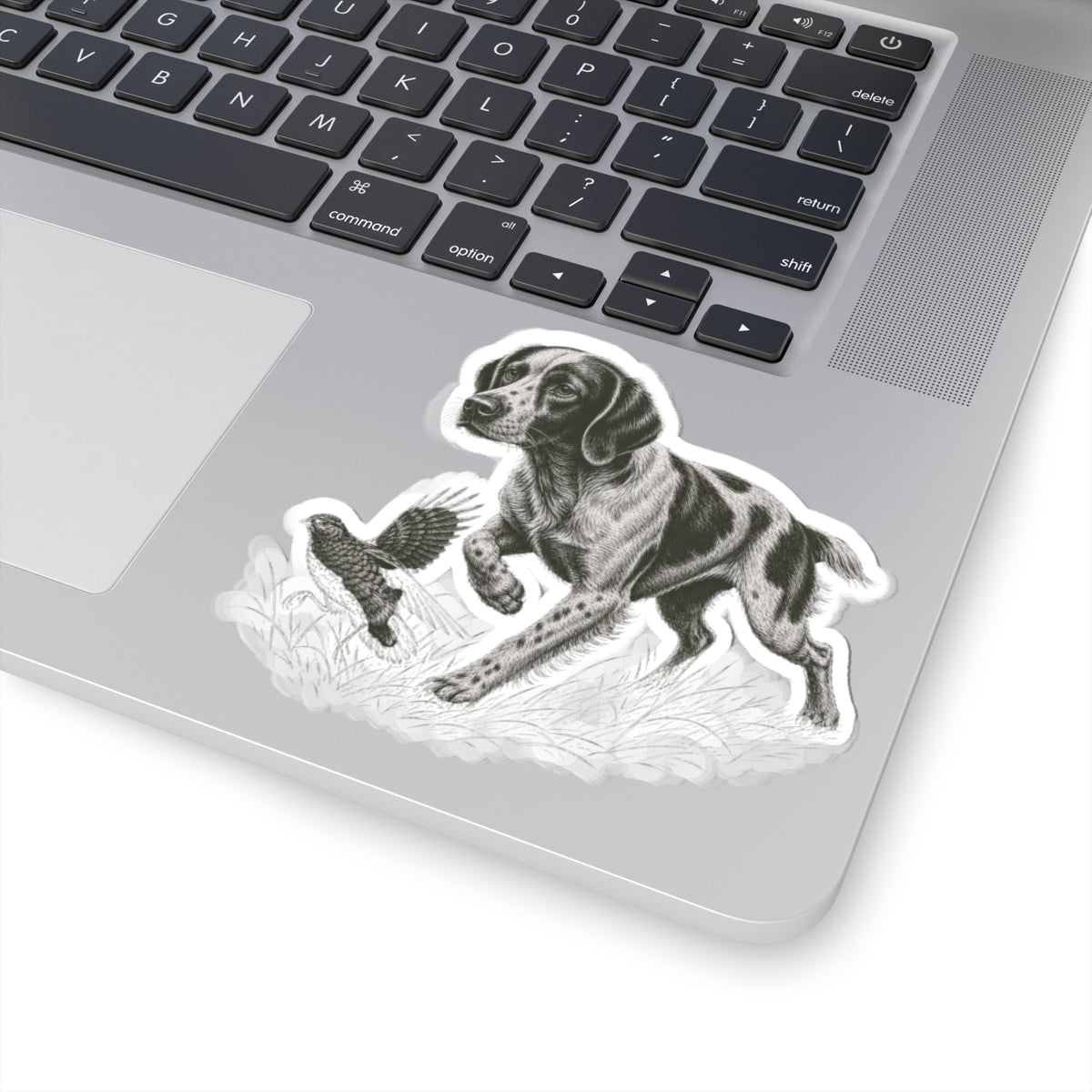 Brittany Pointing- Sticker