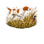 American Brittany Pointing Pheasant- Sticker
